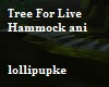 Tree For Live Hammock