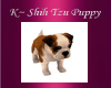 K~ ShihTzu Puppy2