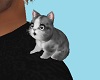 Shoulder Kitten 2