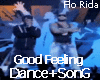 Flo Rida-Good Feeling|DS