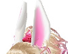 Soft Pink Bunny Ears