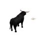 Bull