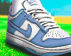 BLUE DUNKS