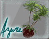 *A* Chic Plant 2