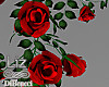 Valentines Red Roses