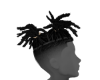 Black Hair Cedri