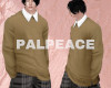 P. School sweater / BR