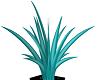 Teal Palm Plant