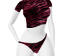 ᶼ velvet set ✰