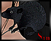 Pet Rat 2