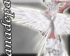 [A&P]angel wings