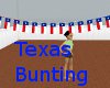 ![LD] Texas Bunting