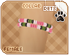 [Pets]Phar |candy band R