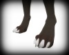 SW] AnySkin Furry Paws