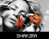 Shakira Official Music