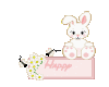 Bunny For Easter