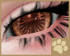 ~AM~ Cicikava Eyes v3
