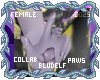 Stormy Dainty Paws