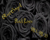 BlutEngel-BlackRoses