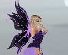 Purple Lace Wings