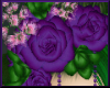 Purple/Green Flowers