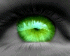 green eyes