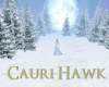 Winter Aurora Meadow