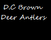 D.C Brown Deer Antlers