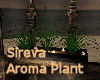 Sireva Aroma PLant 
