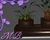 MB Wooden Planter