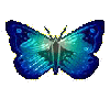 Ice Blue Butterfly