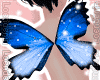 Loe// Butterfly wings B