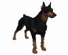 DOBERMAN DOG ANIMATED