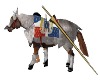 Joust FRANCE