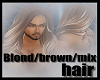 Brown/blond mix hair