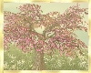 Old Pink Blossom Tree