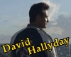 David Hallyday