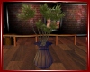 Potted Tree