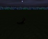 Field At Night V1