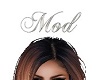 HeadSign "Mod" Platinum