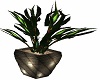 nature potted Plant