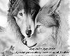 Wolf Friends Sticker