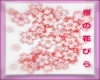 Sakura wind 3D P