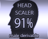Head Scaler 91%