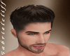 Gabriel Brown Hair II