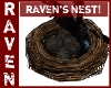 Raven's NEST!