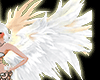 {ARM}White Wings