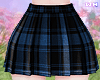 w. Blue Plaid Skirt
