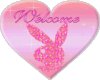 Dlish~Welcome Pink Heart
