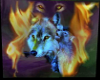 Wolf On Fire -Poster-